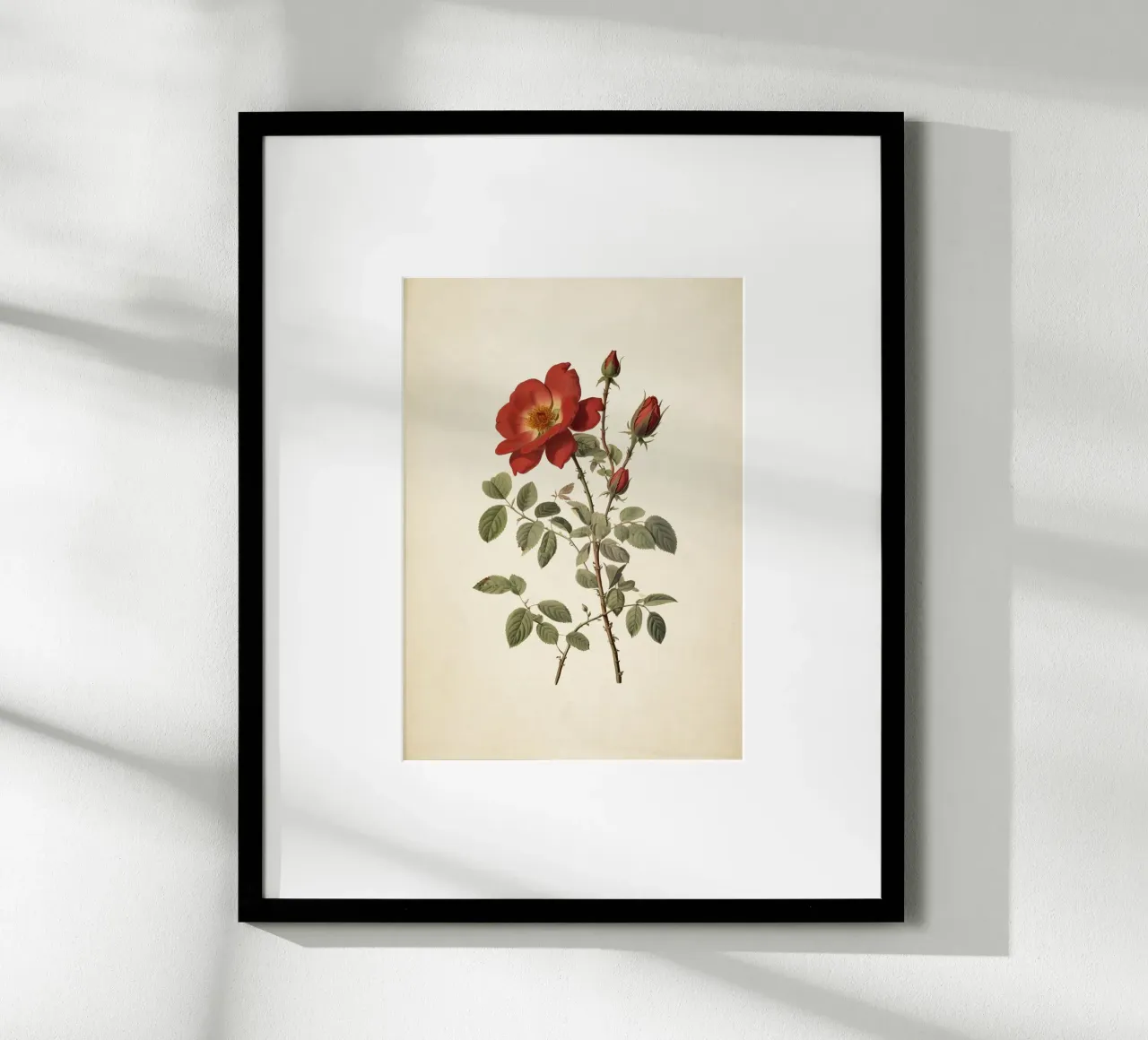 Vintage Wild Rose Botanical Print - Rustic Red Rose Art hahnemühle de ClubArt
