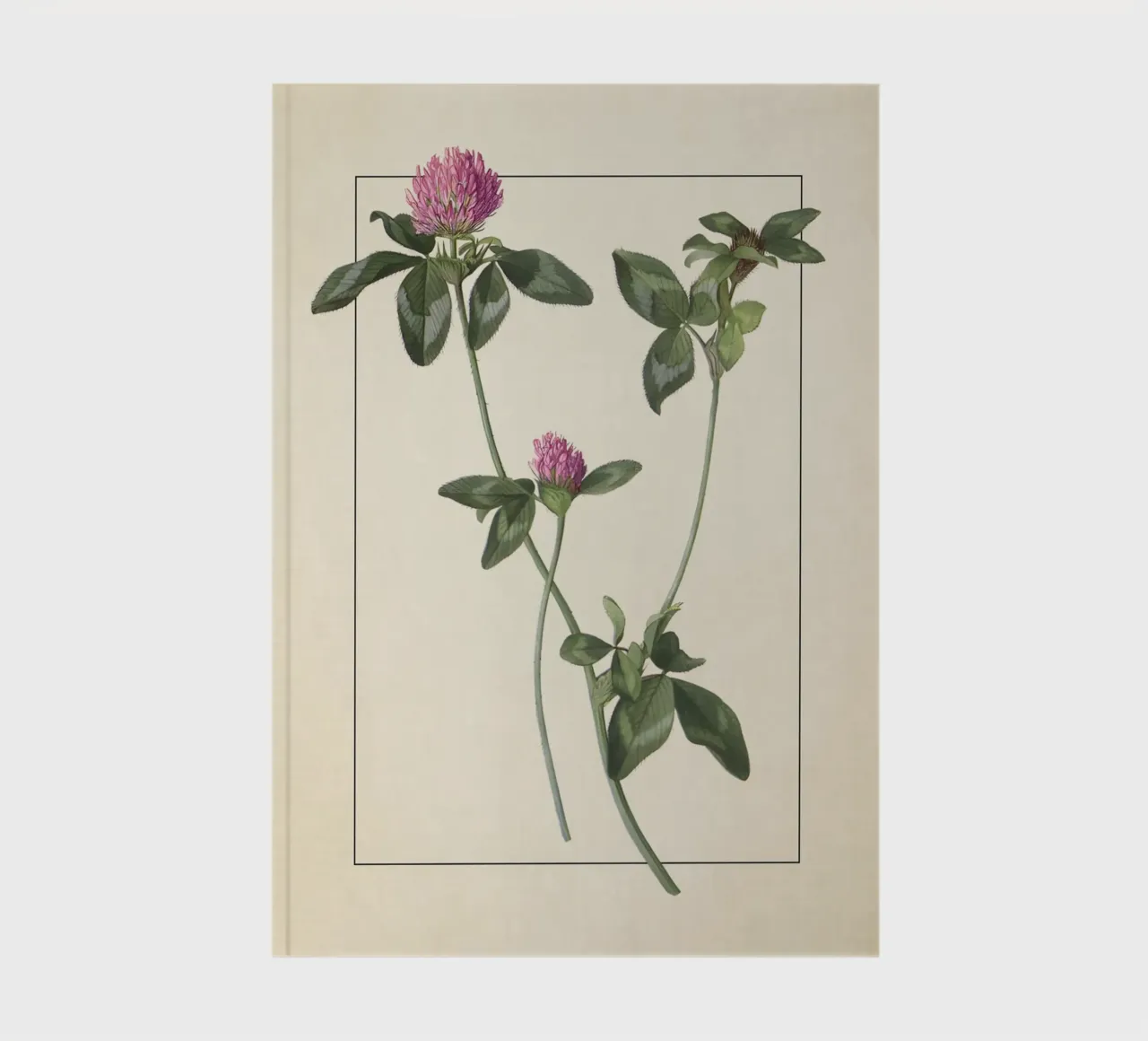 Vintage Red Clover Botanical Print - Lucky Shamrock Art notebook by ClubArt