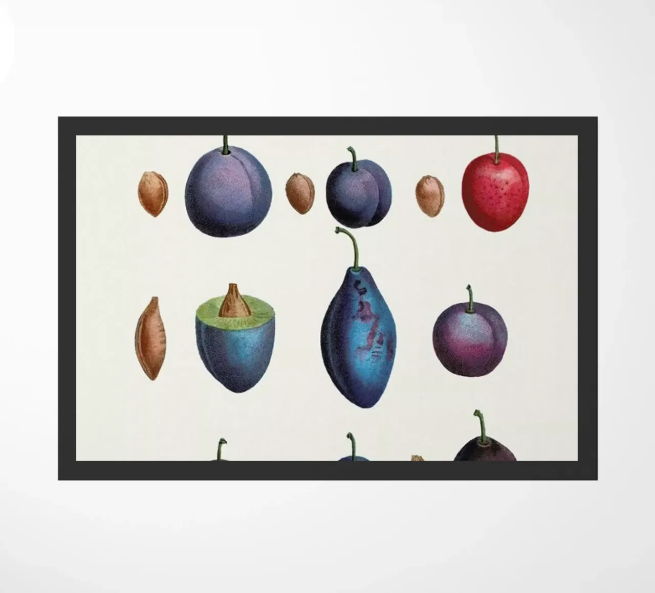 Prunes zerbino da Flora & Fauna