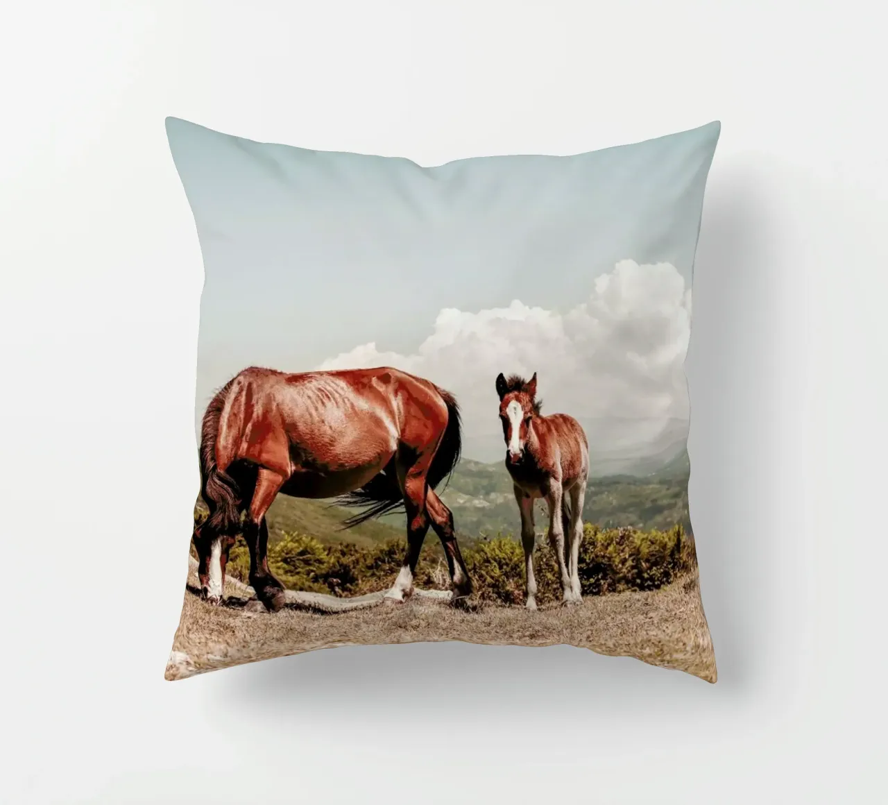 Cavalli selvaggi cuscino da Ingrid Beddoes