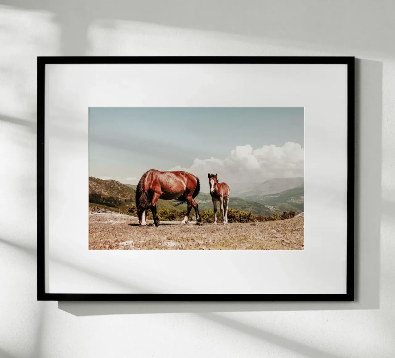 Cavalli selvaggi poster con telaio in legno da Ingrid Beddoes