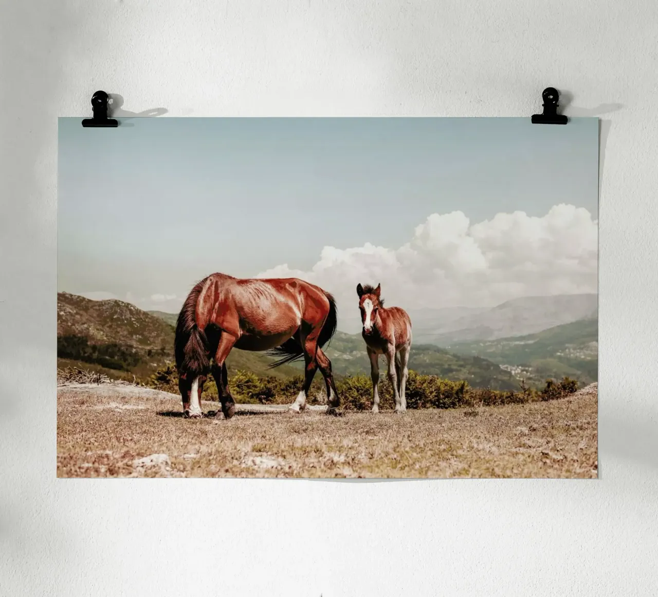 Cavalli selvaggi poster con telaio in legno da Ingrid Beddoes