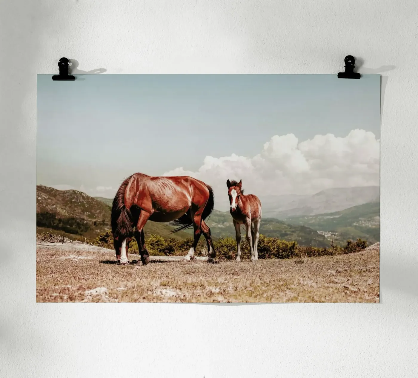 Wildpferde Poster von Ingrid Beddoes
