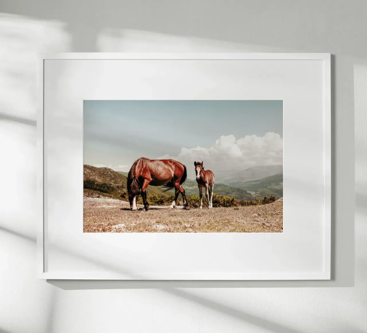 Cavalli selvaggi poster con telaio in legno da Ingrid Beddoes