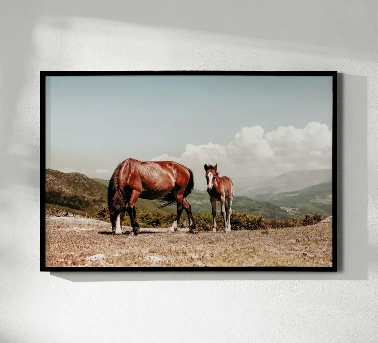 Cavalli selvaggi poster con telaio in legno da Ingrid Beddoes