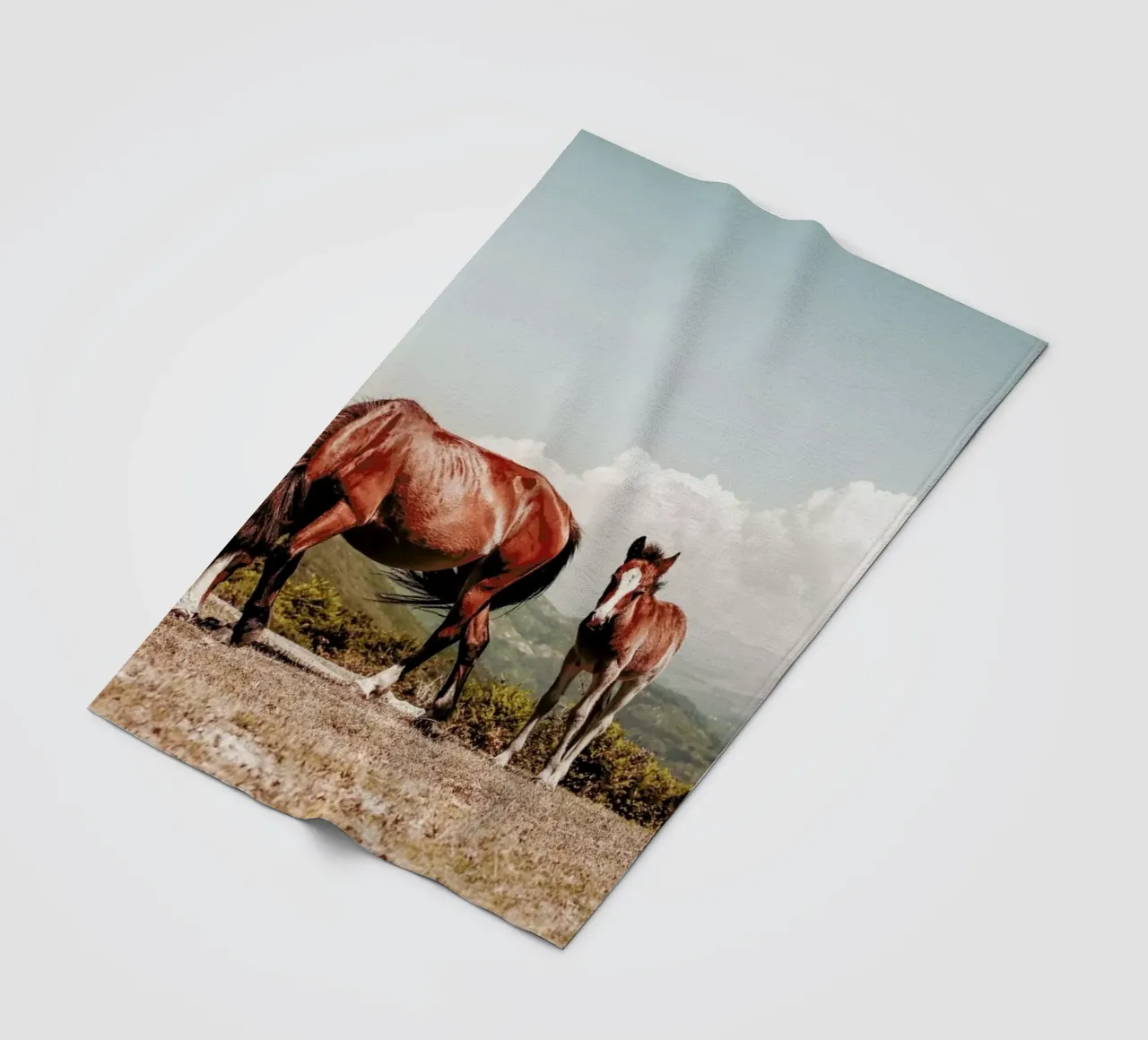 Cavalli selvaggi coperta in pile da Ingrid Beddoes