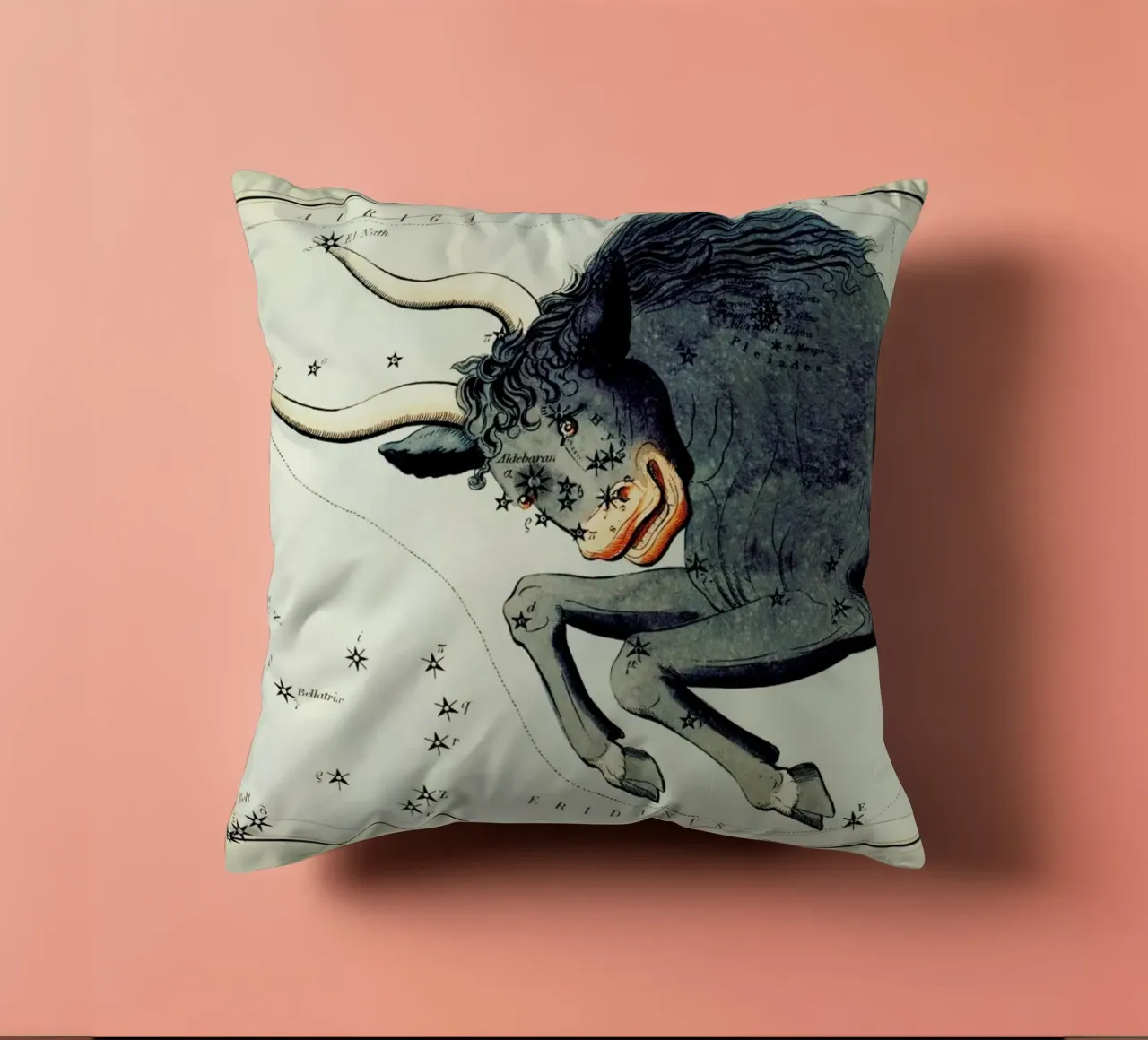 Taurus cuscino da Vintage by JUNIQE