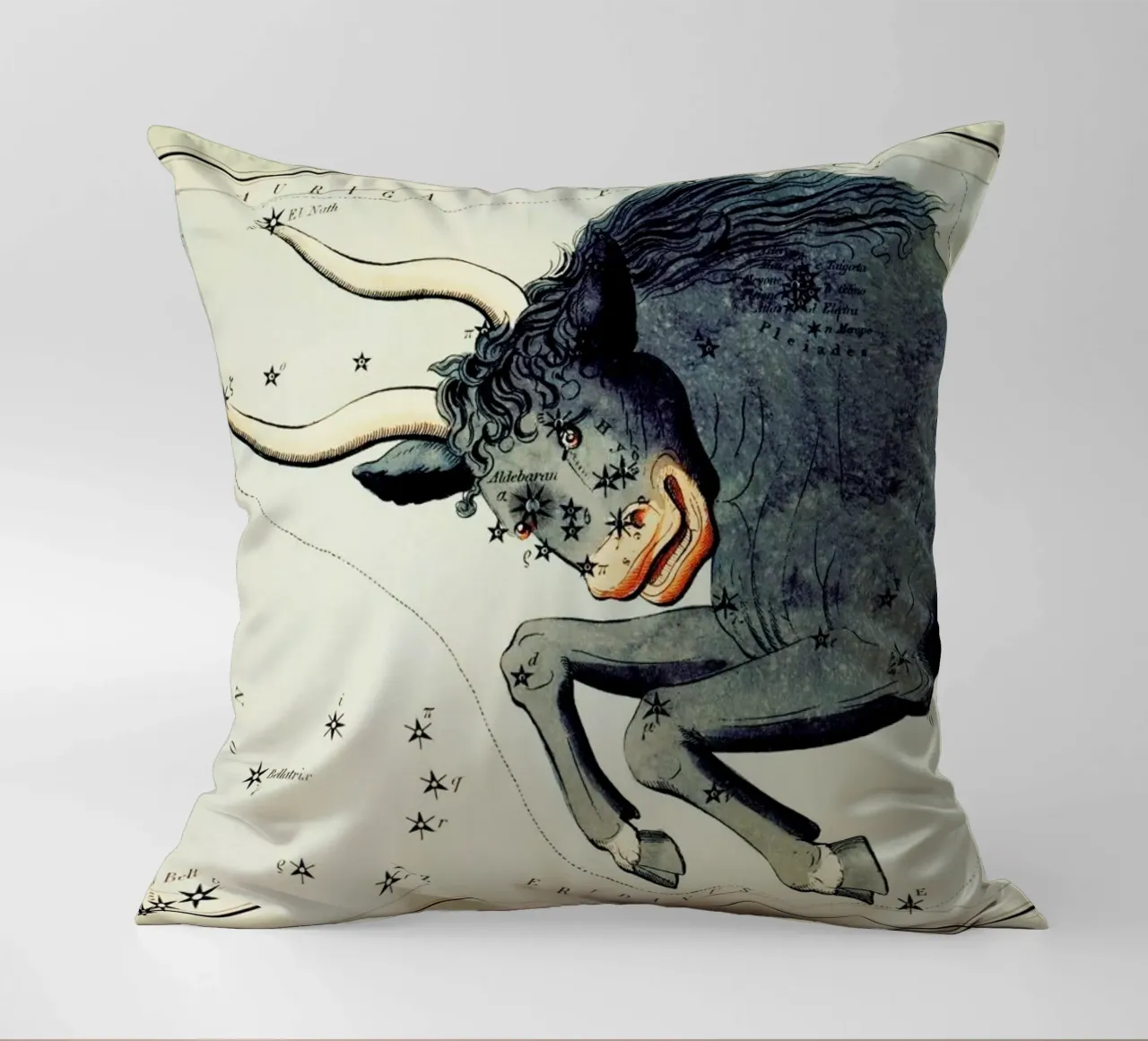 Taurus cuscino da Vintage by JUNIQE