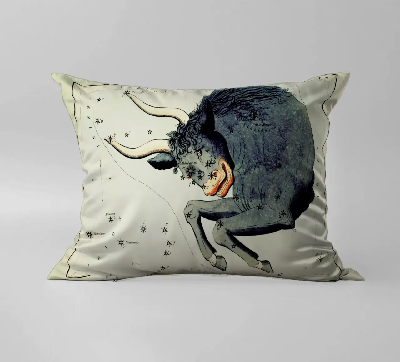 Taurus cuscino da Vintage by JUNIQE