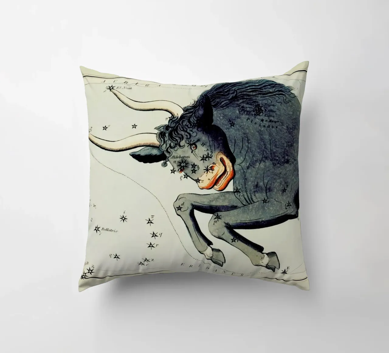 Taurus cuscino da Vintage by JUNIQE