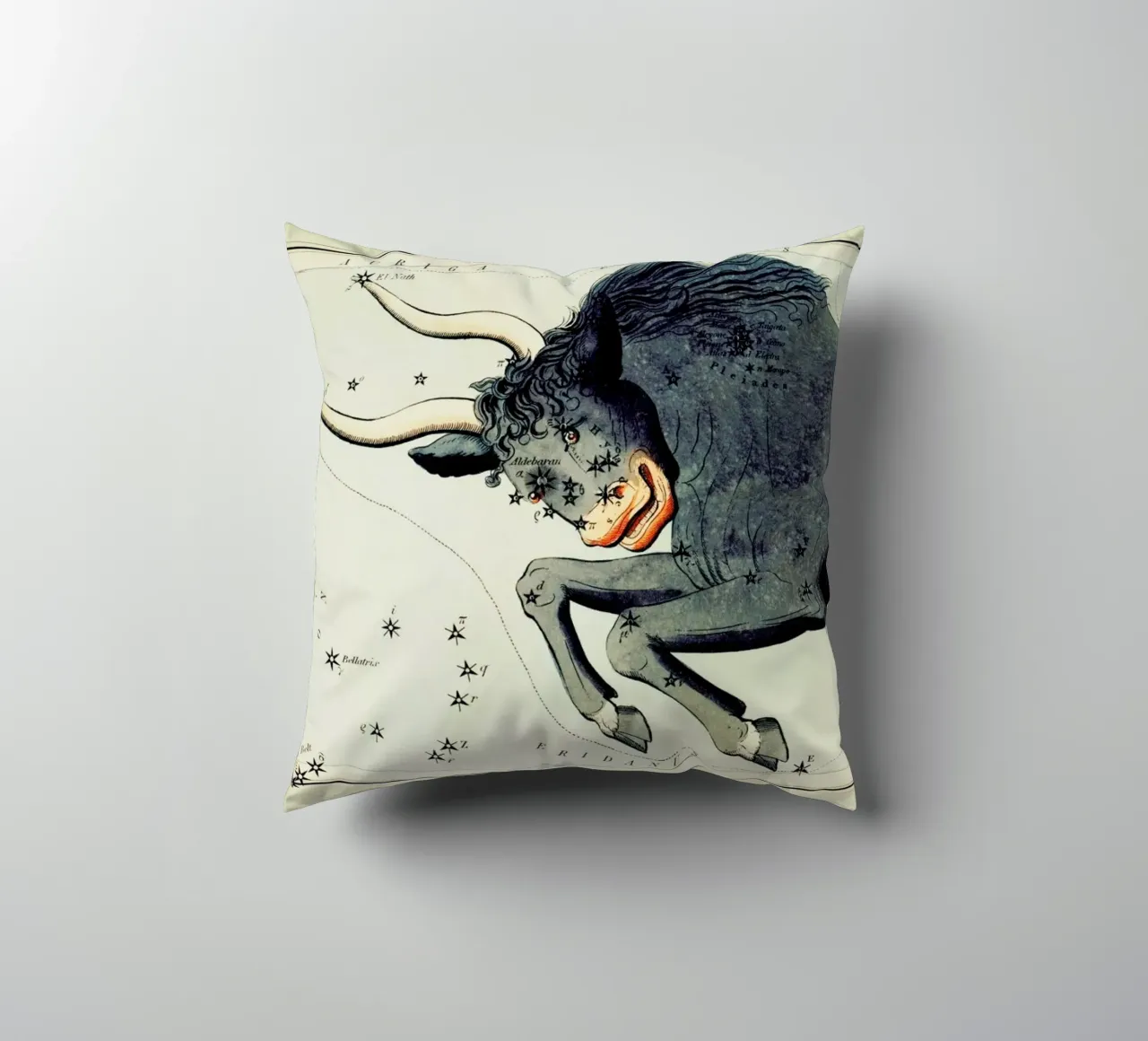 Taurus cuscino da Vintage by JUNIQE