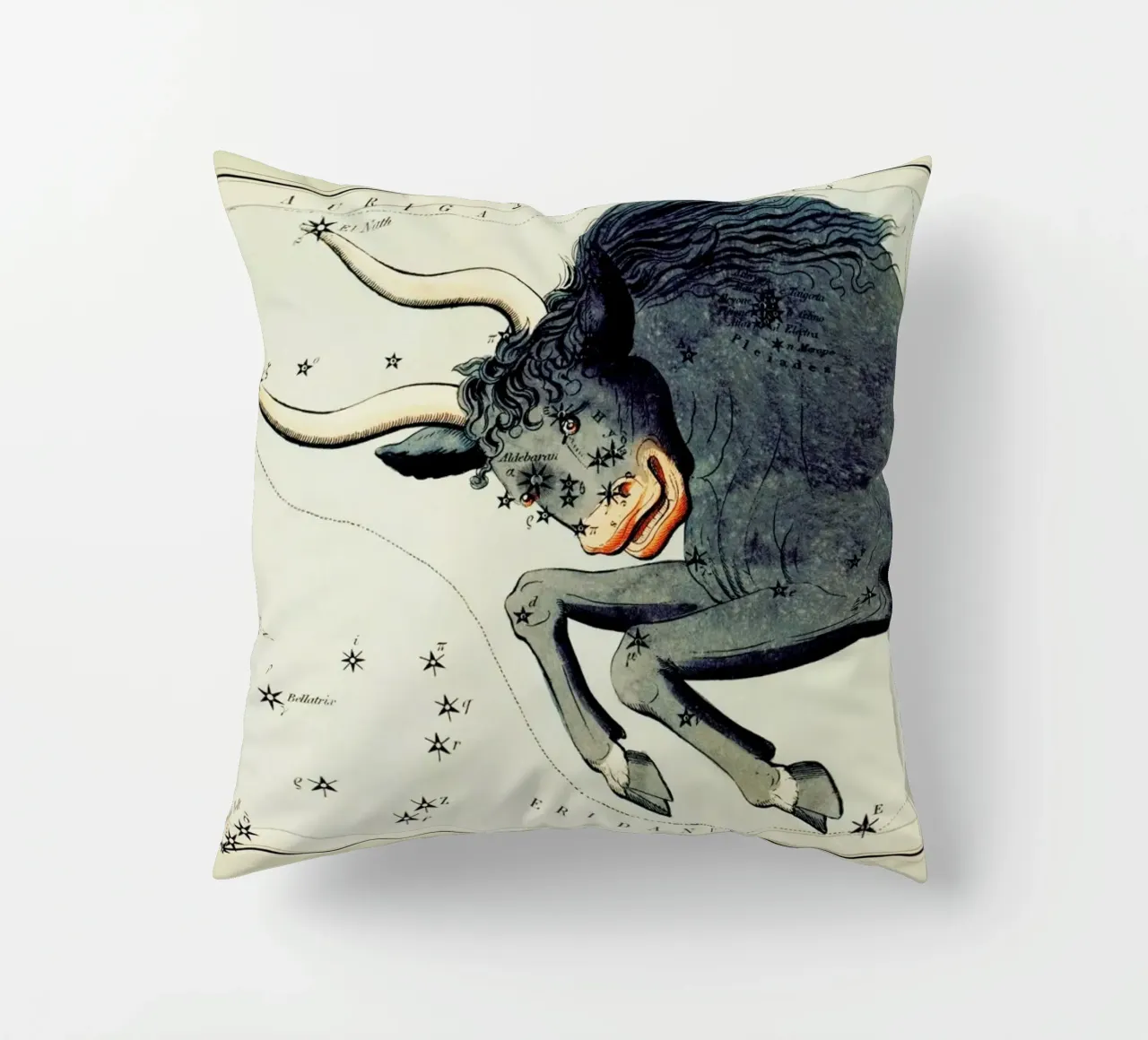 Taurus cuscino da Vintage by JUNIQE