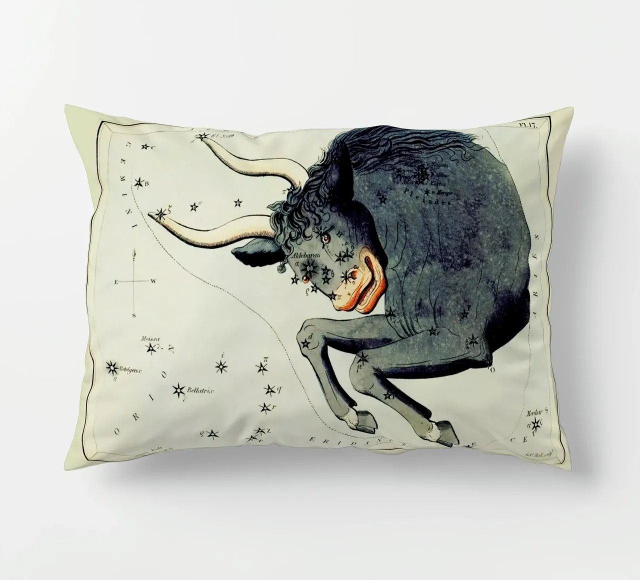 Taurus cuscino da Vintage by JUNIQE
