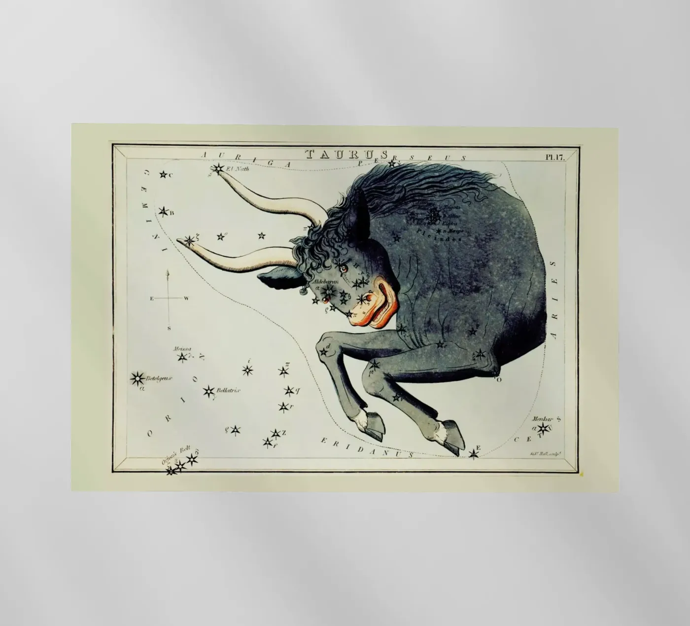 Taurus backlit folie van Vintage by JUNIQE