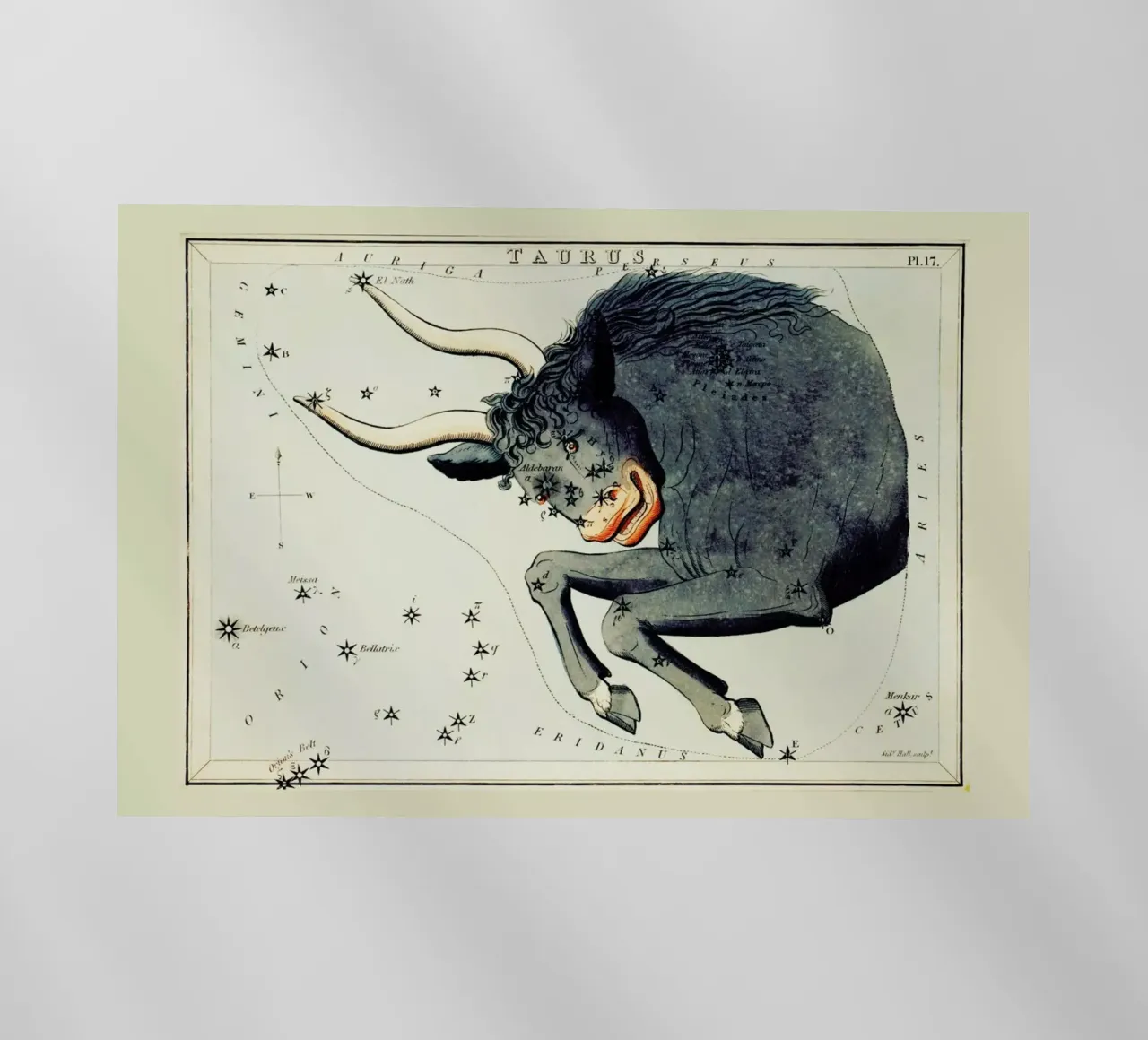 Taurus pellicola backlit da Vintage by JUNIQE