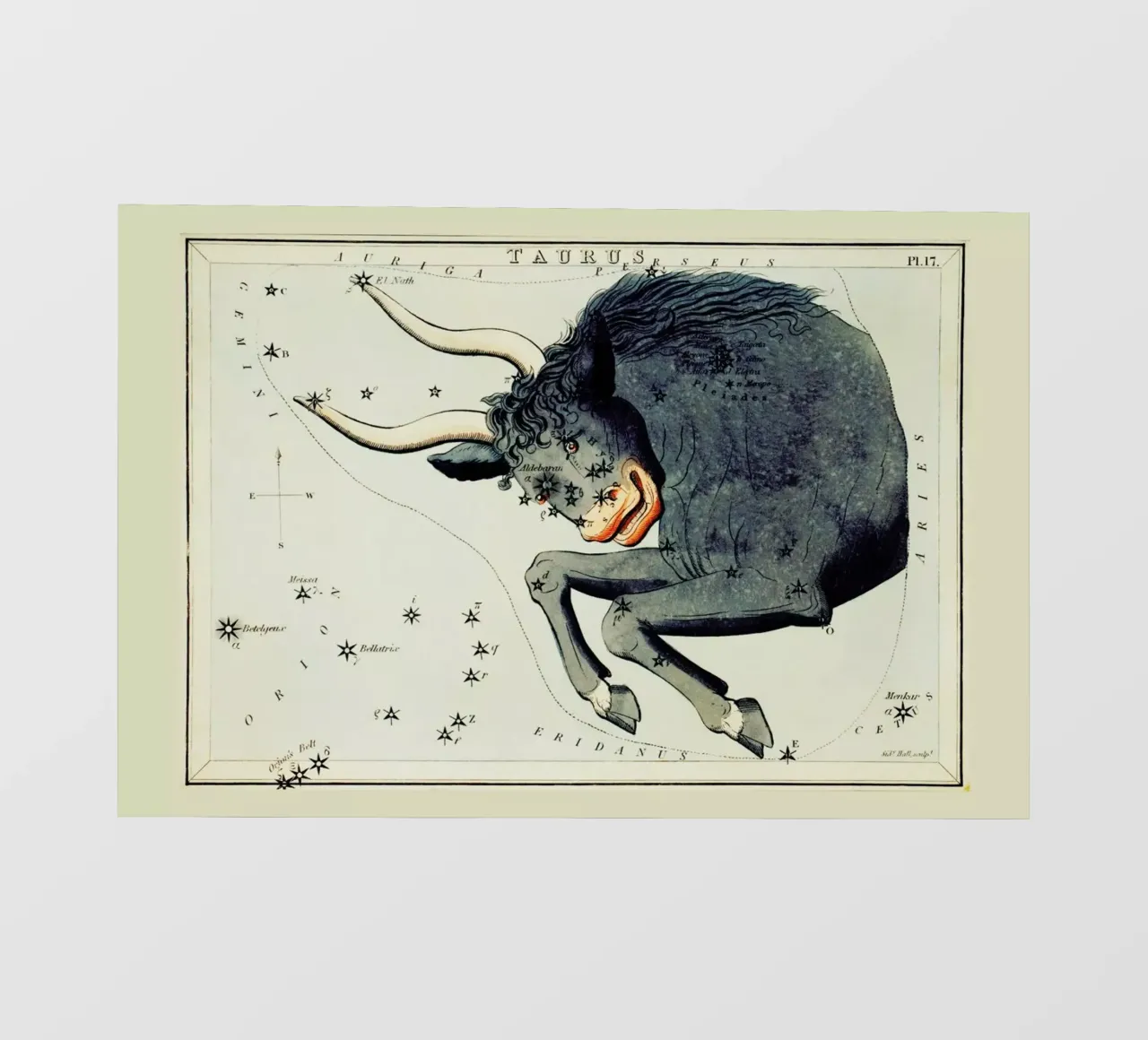 Taurus pellicola backlit da Vintage by JUNIQE