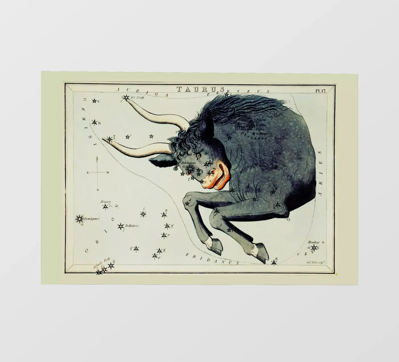 Taurus backlit folie van Vintage by JUNIQE