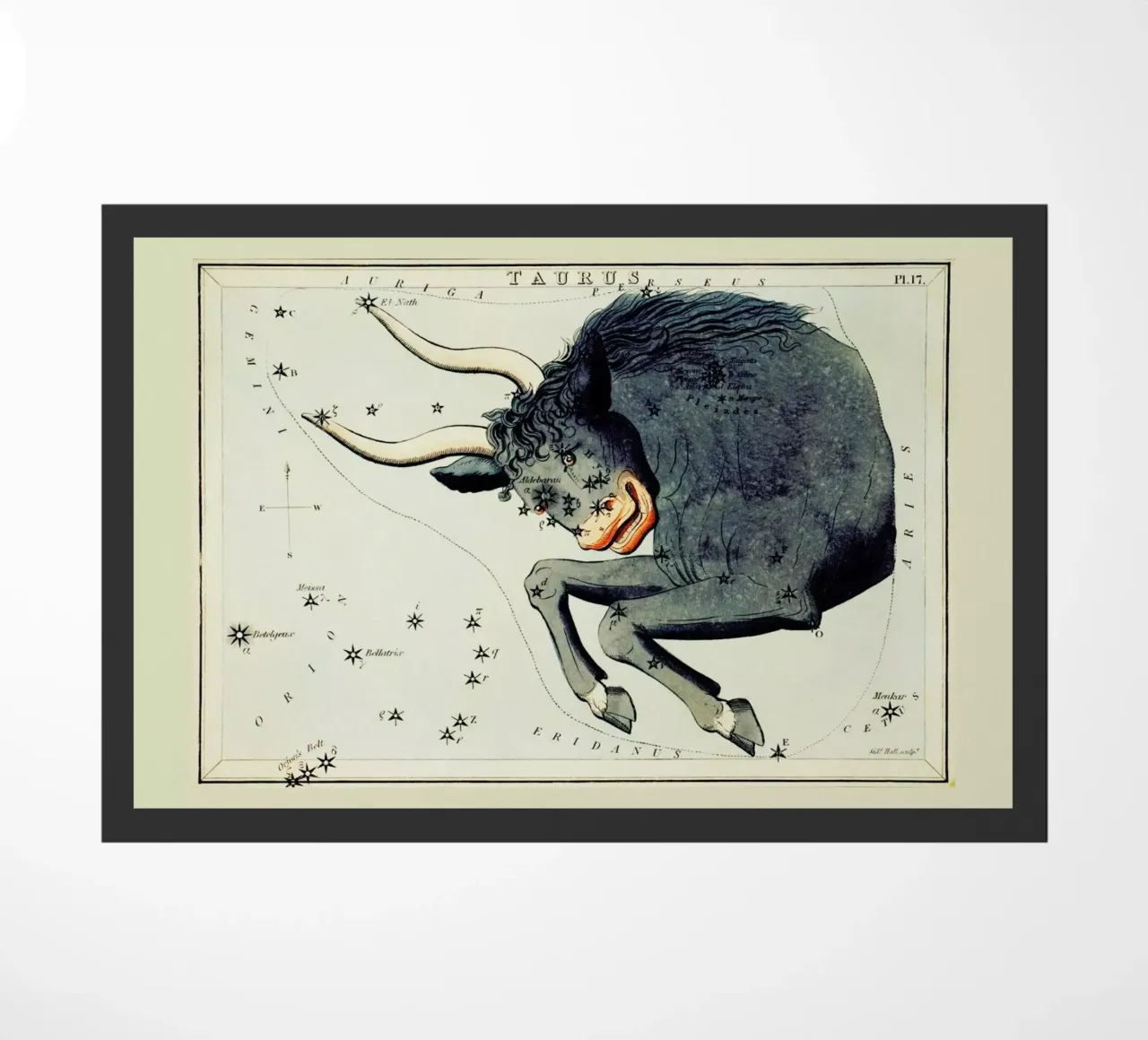 Taurus doormat by Vintage by JUNIQE