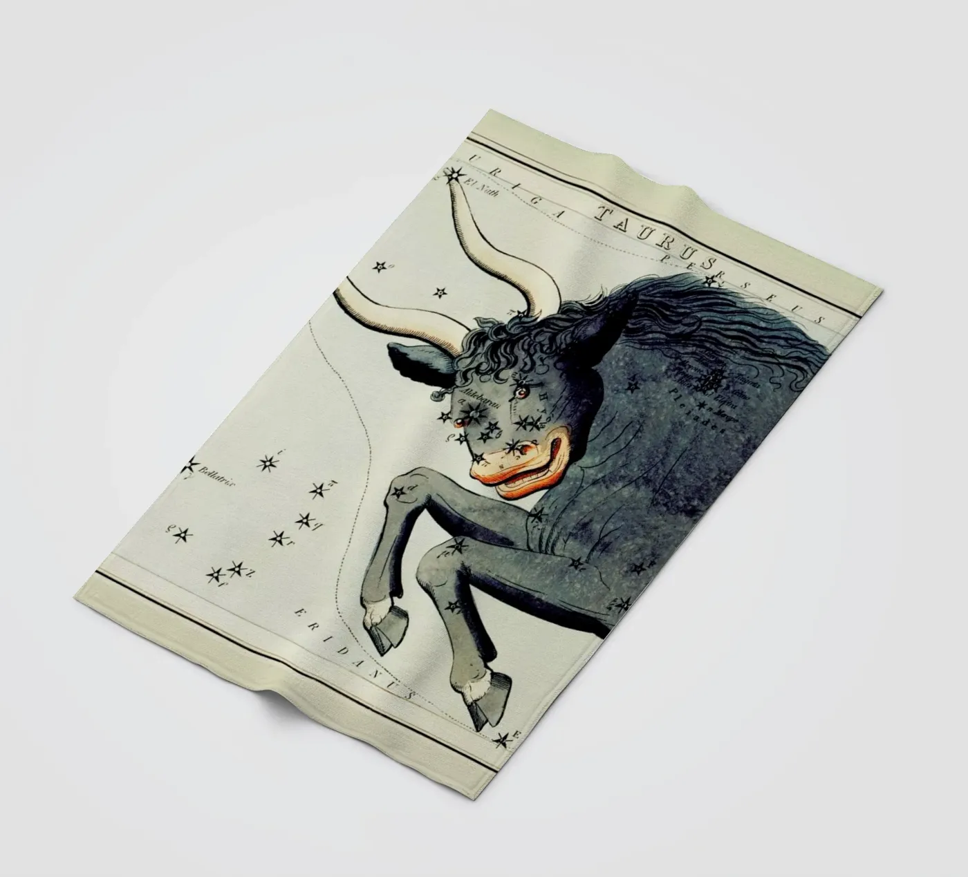 Taurus fleece blanket by Vintage by JUNIQE