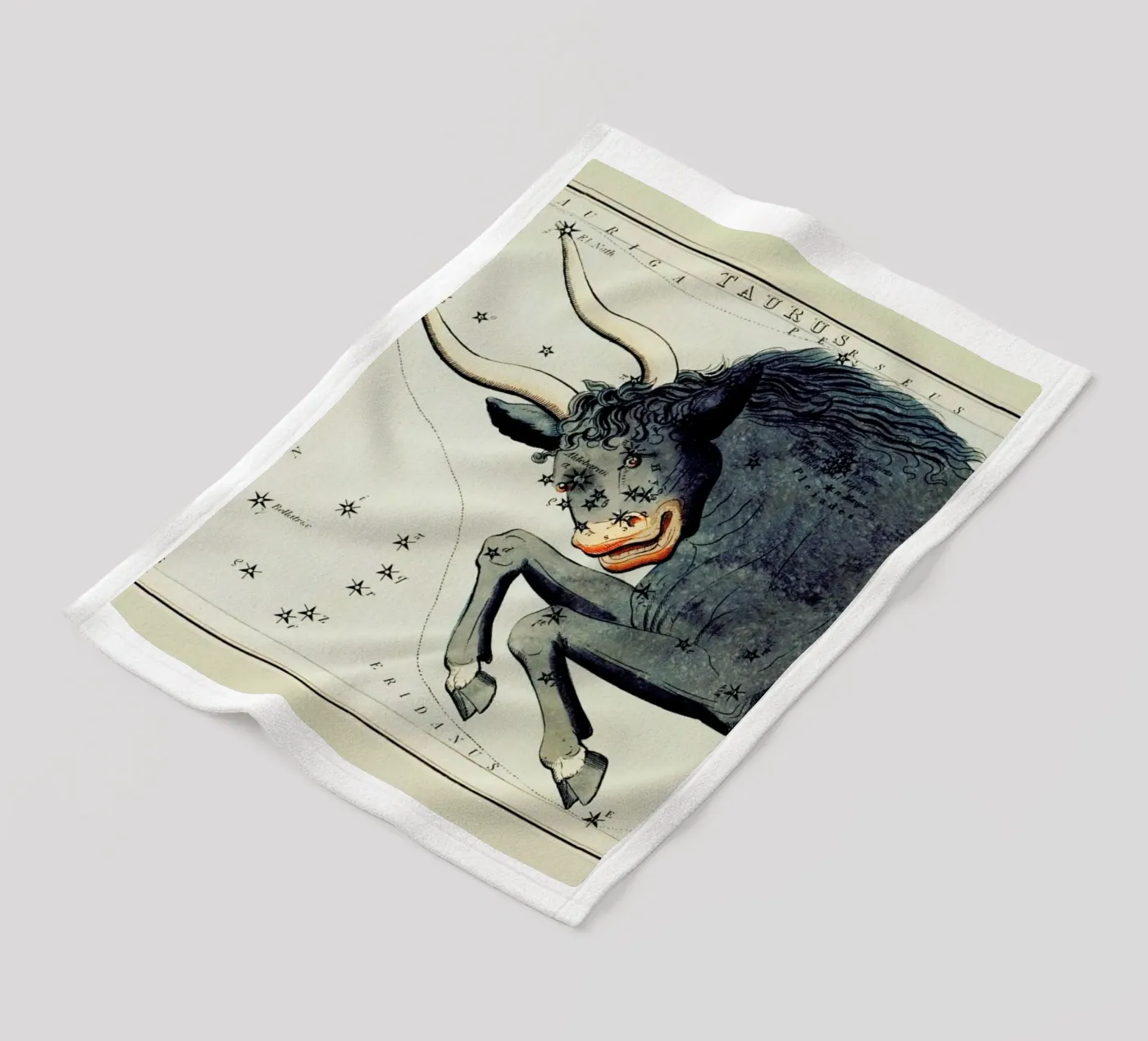 Taurus fleece blanket by Vintage by JUNIQE