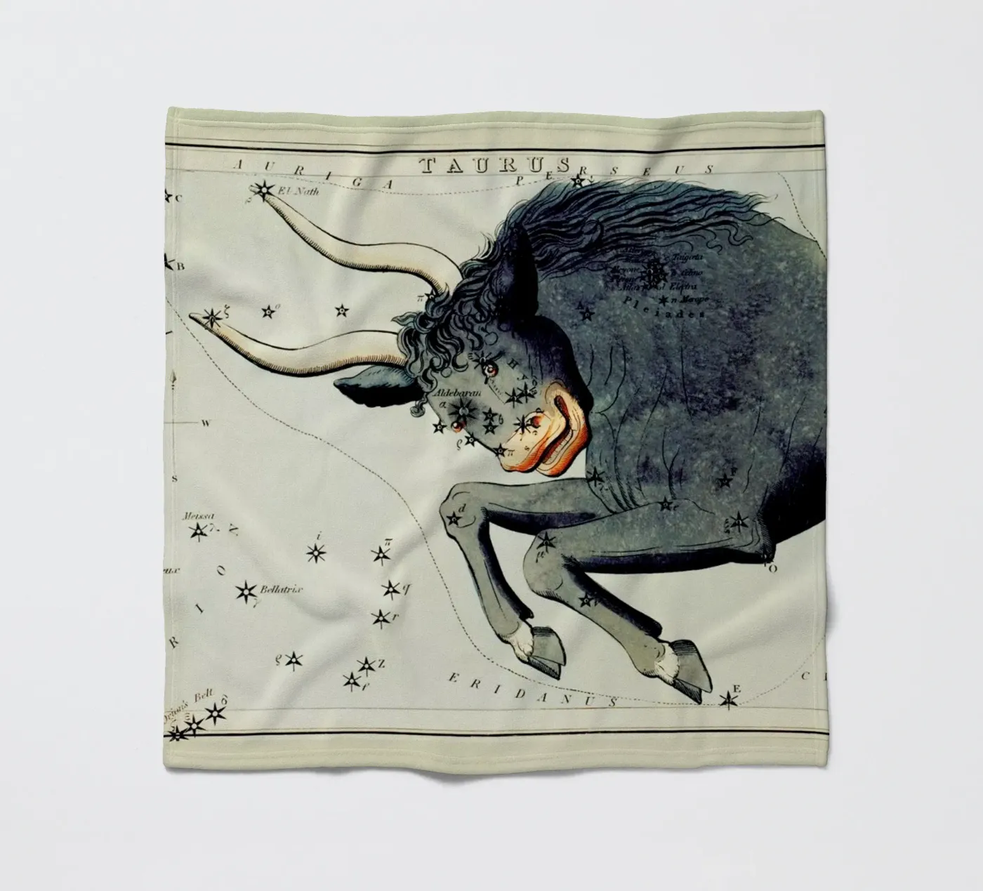 Taurus fleece blanket by Vintage by JUNIQE