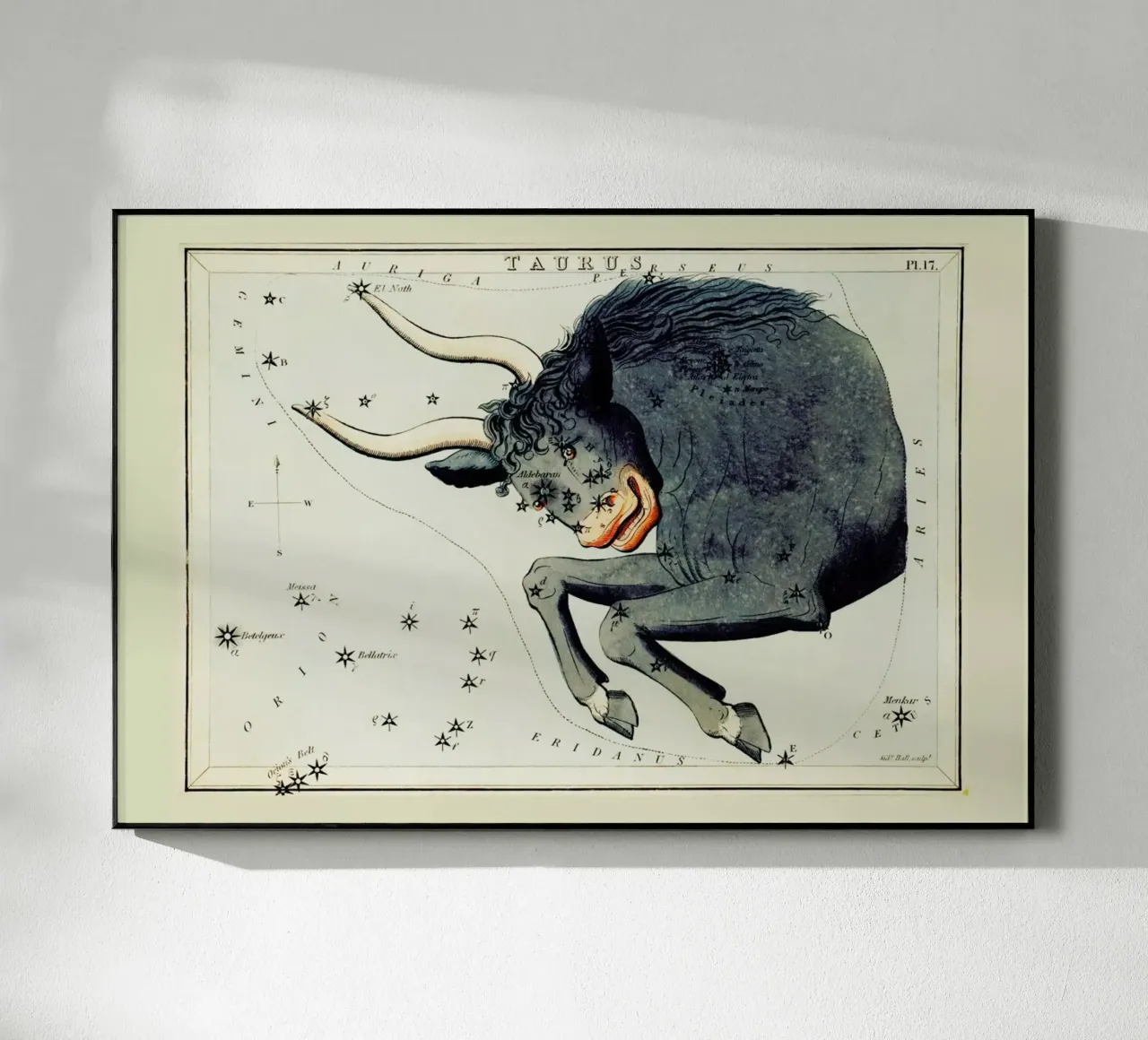 Taurus plexiglass da Vintage by JUNIQE