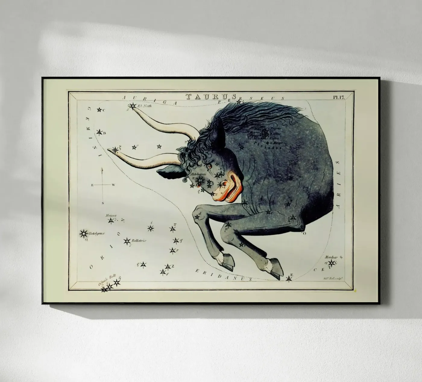 Taurus acryl van Vintage by JUNIQE