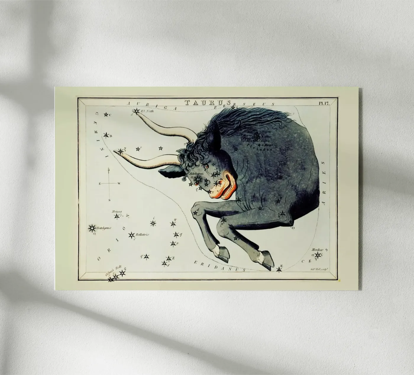 Taurus acryl van Vintage by JUNIQE