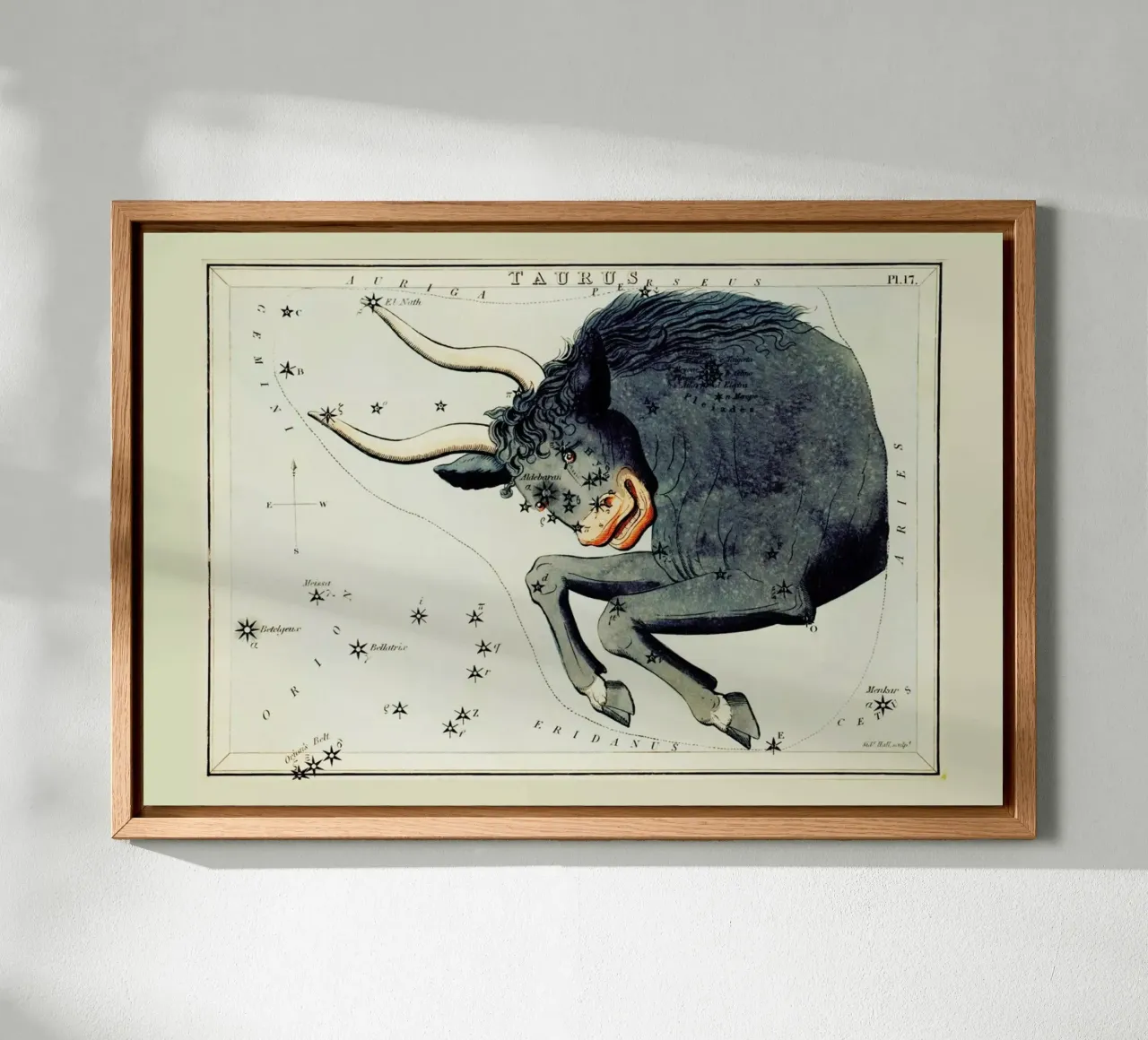 Taurus alluminio dibond da Vintage by JUNIQE