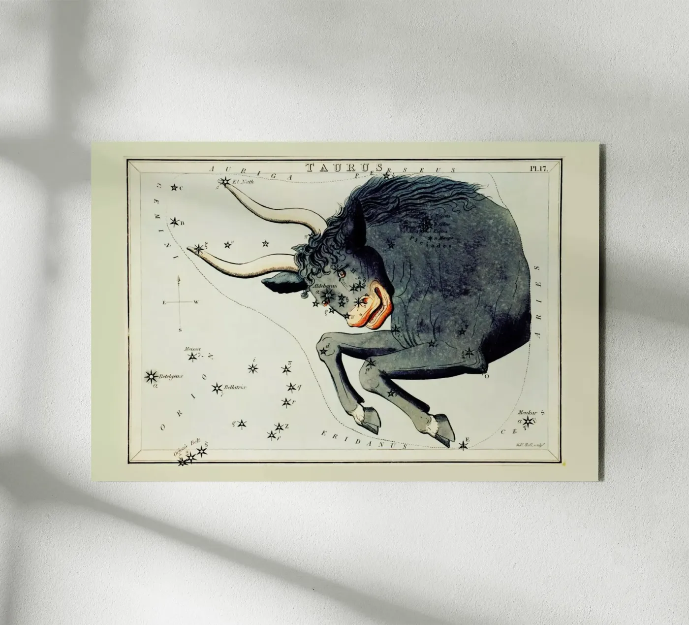 Taurus Forex-Platte von Vintage by JUNIQE