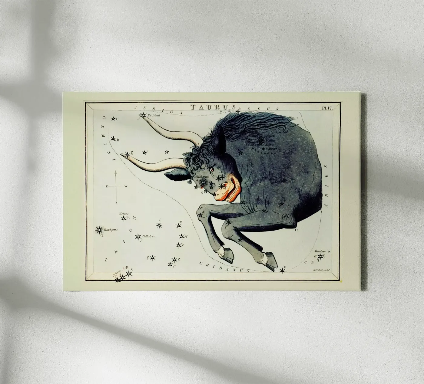 Taurus Leinwand von Vintage by JUNIQE