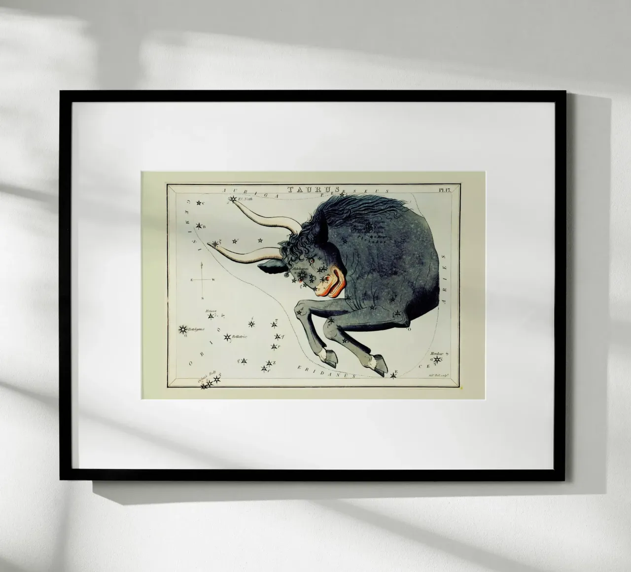 Taurus poster da Vintage by JUNIQE