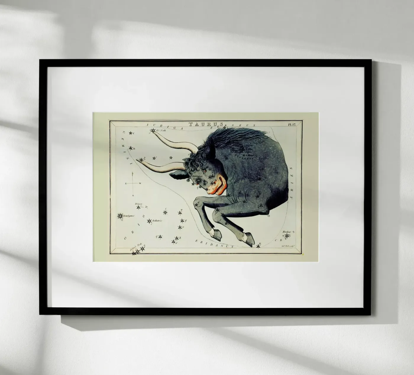 Taurus Poster von Vintage by JUNIQE