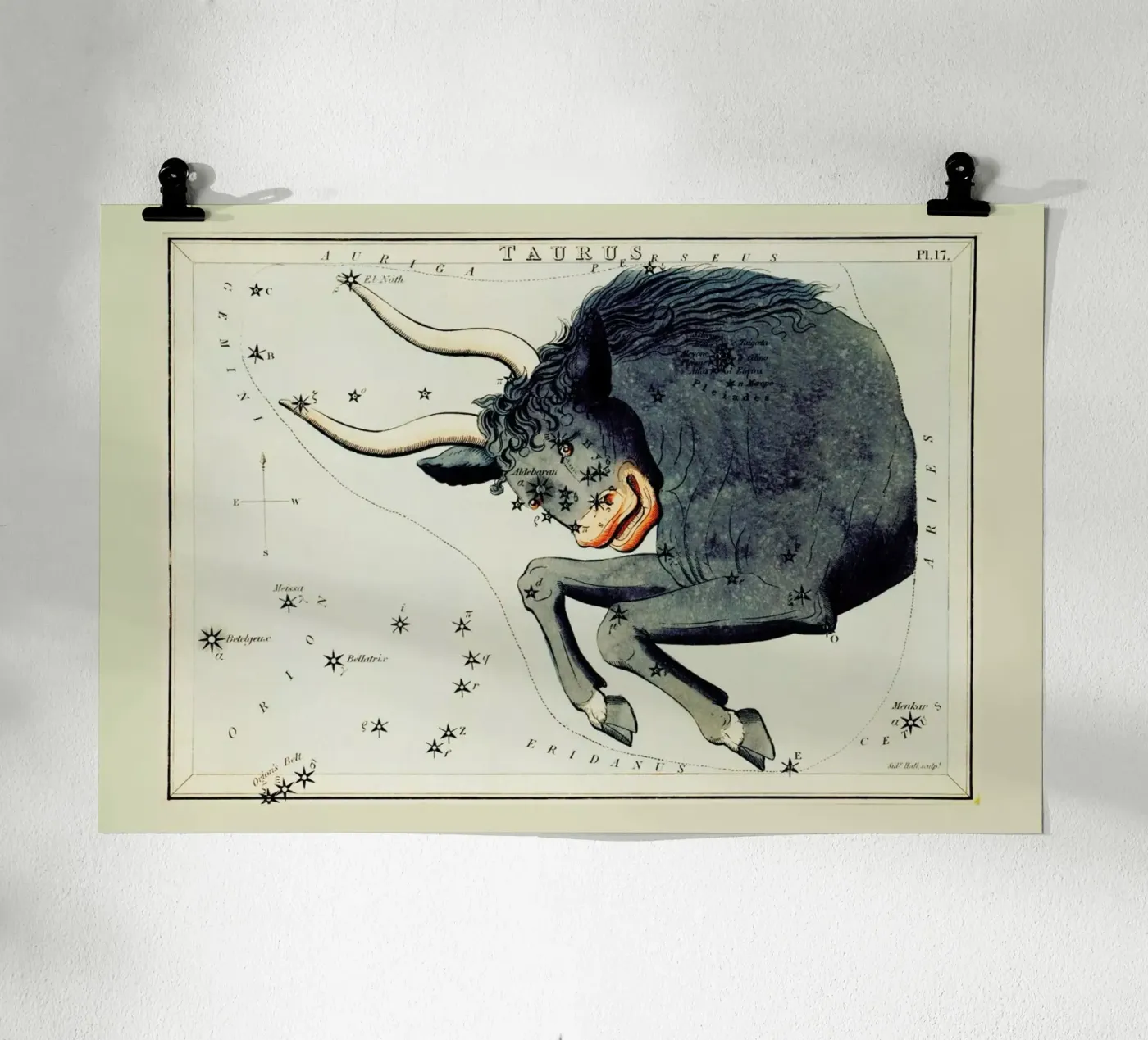 Taurus Poster von Vintage by JUNIQE