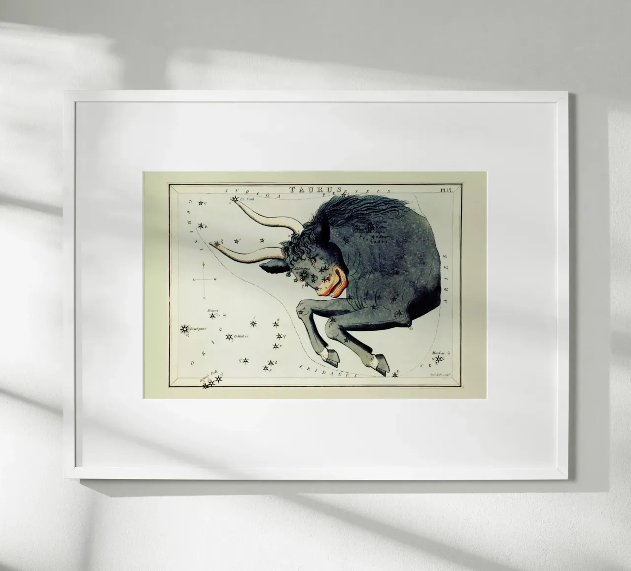 Taurus poster da Vintage by JUNIQE