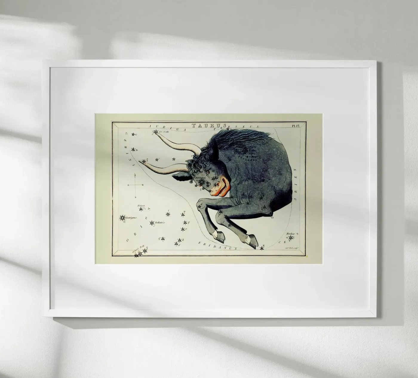 Taurus Poster von Vintage by JUNIQE