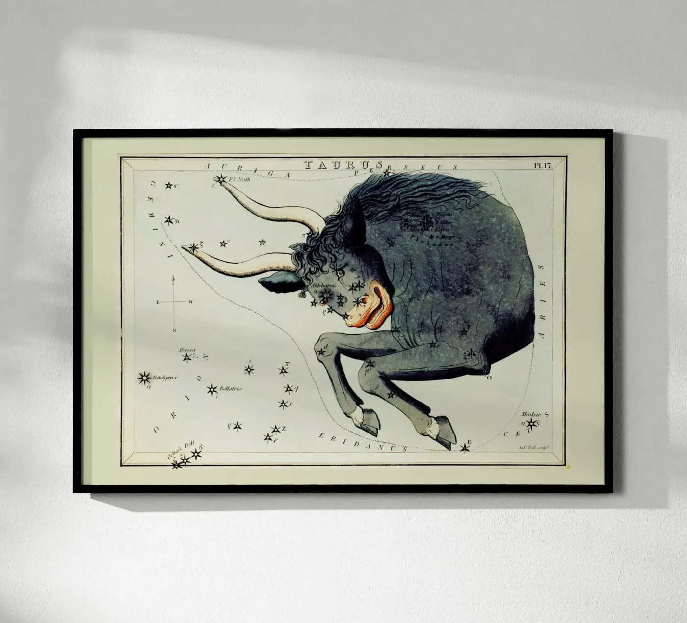Taurus Poster von Vintage by JUNIQE
