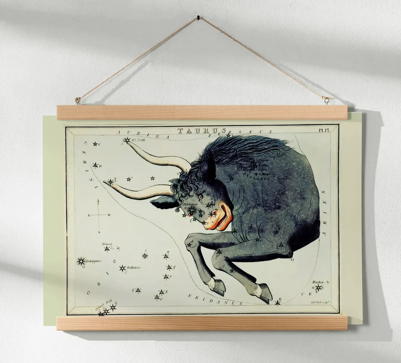 Taurus Poster von Vintage by JUNIQE