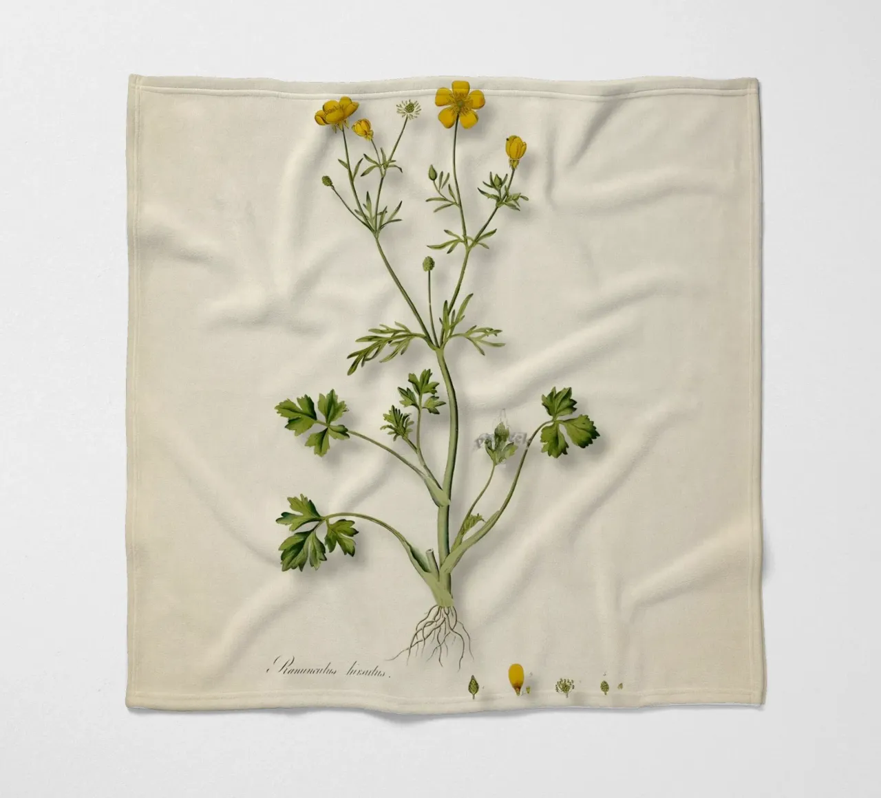 Ranunculus Hirsutus Print - Vintage Boterbloem Botanische Kunst fleecedeken van ClubArt