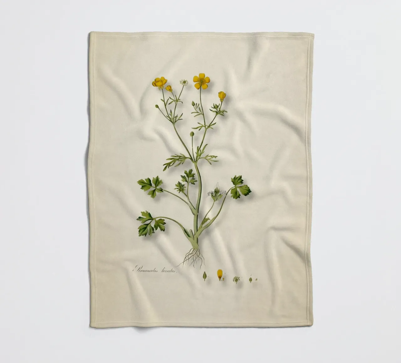 Ranunculus Hirsutus Print - Vintage Boterbloem Botanische Kunst fleecedeken van ClubArt