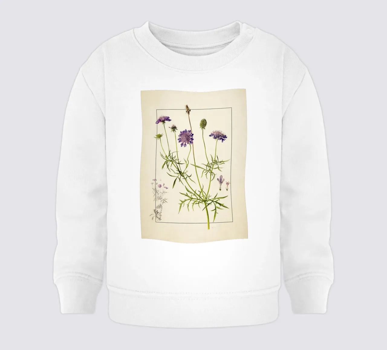 Stampa Scabiosa Columbaria - Fiore vintage a cuscino viola felpa neonato da ClubArt