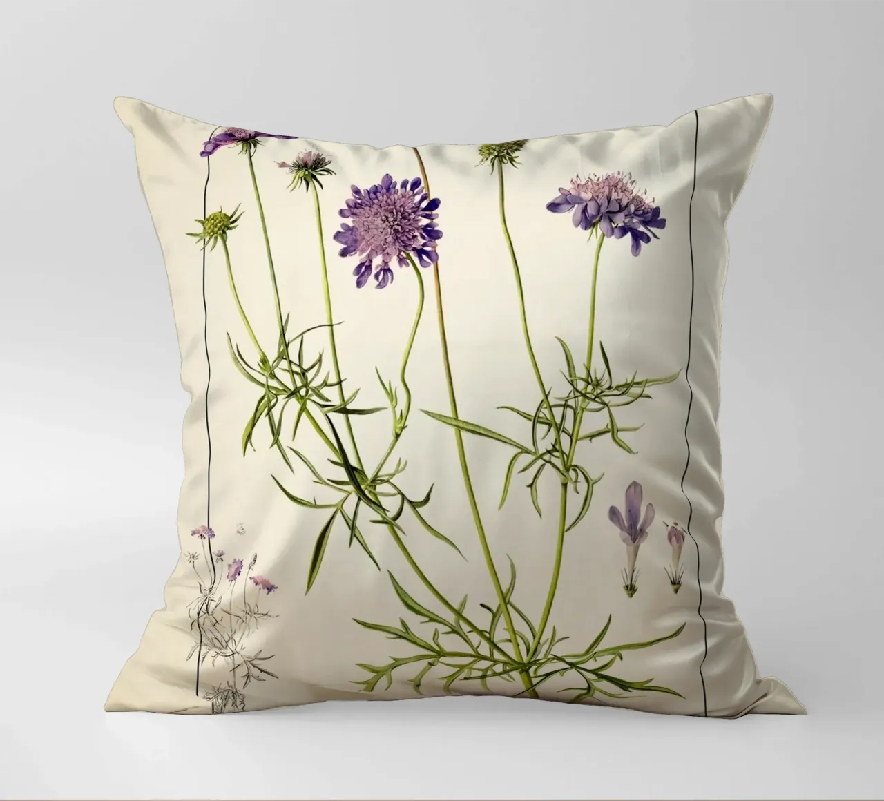 Stampa Scabiosa Columbaria - Fiore vintage a cuscino viola cuscino da ClubArt