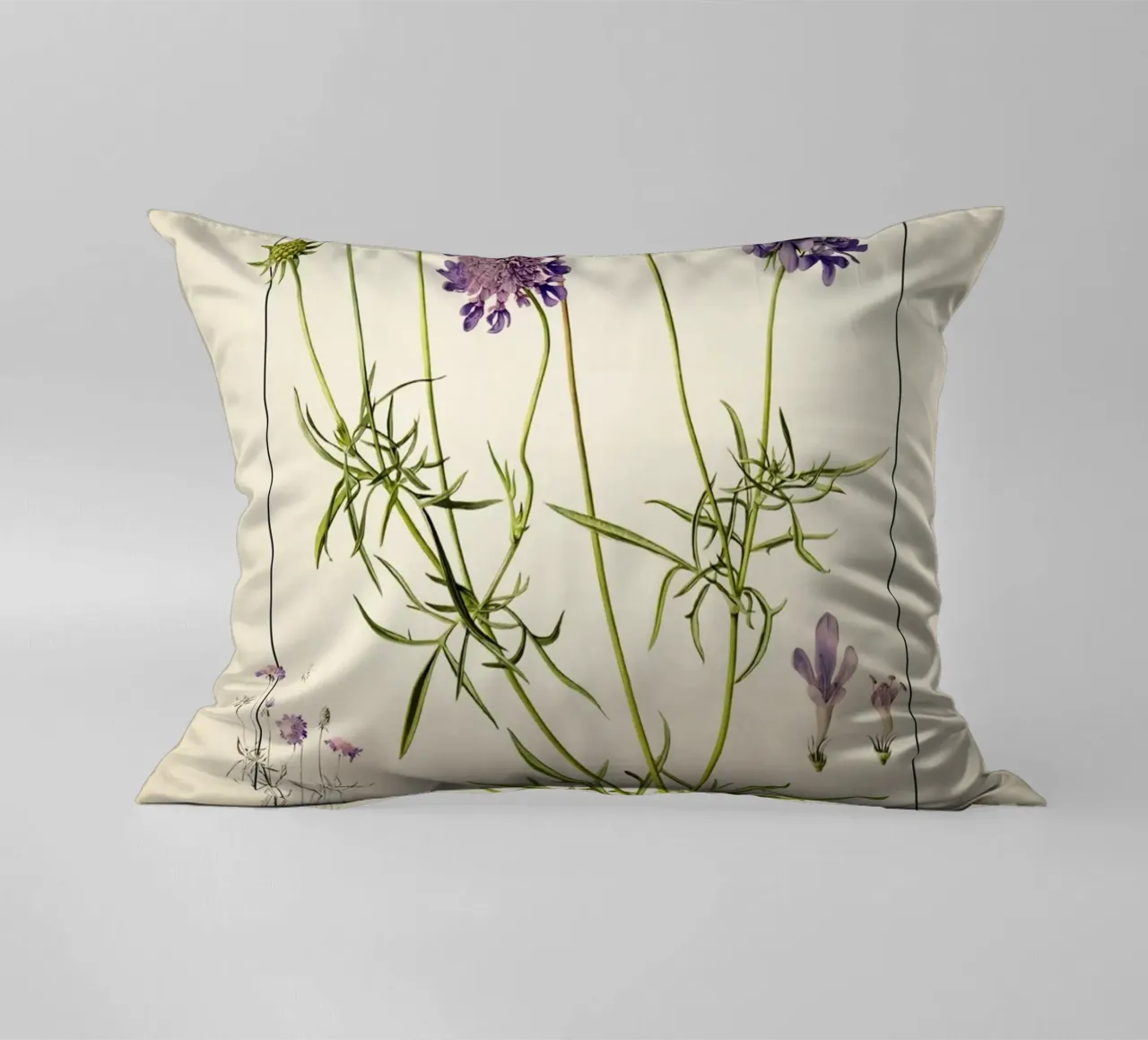 Stampa Scabiosa Columbaria - Fiore vintage a cuscino viola cuscino da ClubArt
