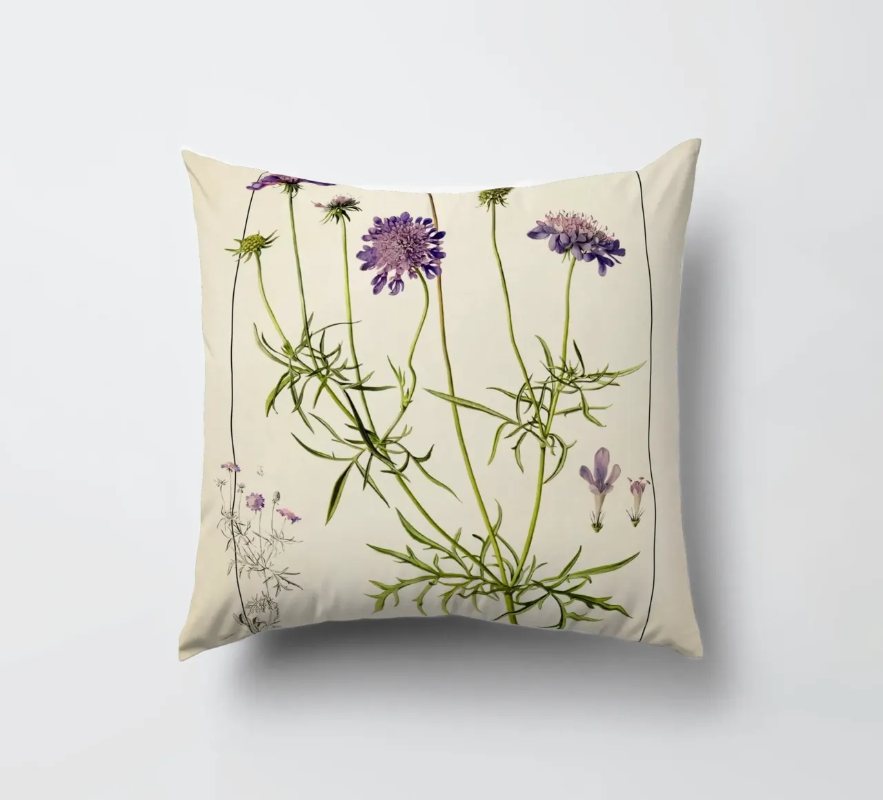Stampa Scabiosa Columbaria - Fiore vintage a cuscino viola cuscino da ClubArt