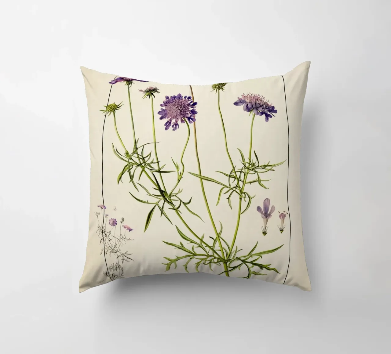 Stampa Scabiosa Columbaria - Fiore vintage a cuscino viola cuscino da ClubArt
