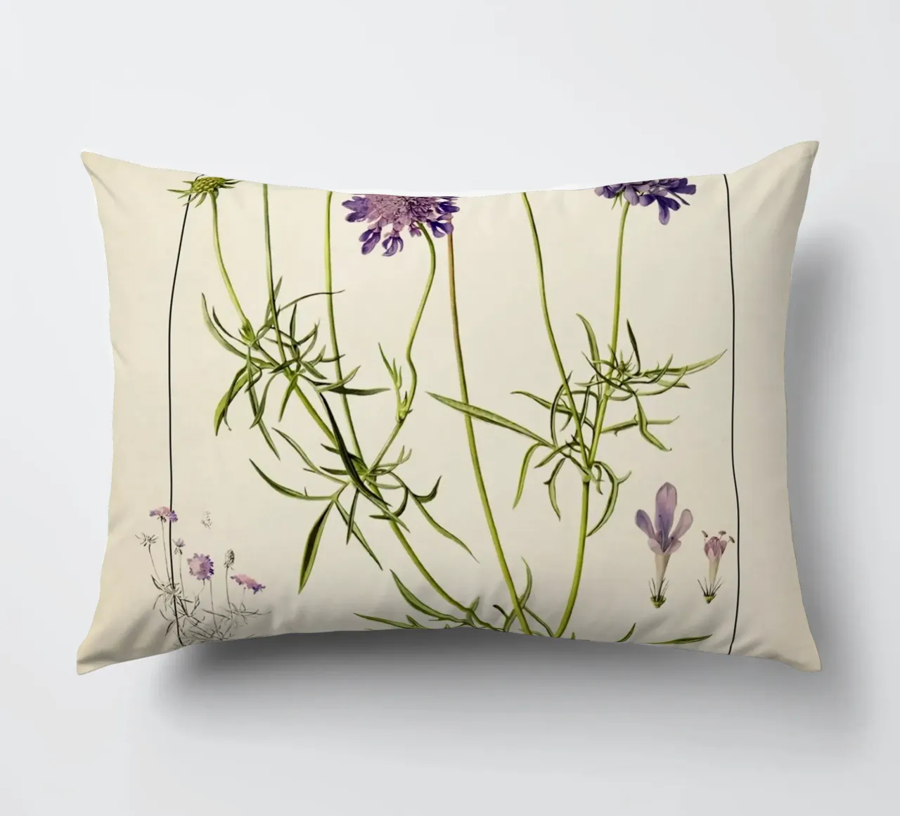 Stampa Scabiosa Columbaria - Fiore vintage a cuscino viola cuscino da ClubArt