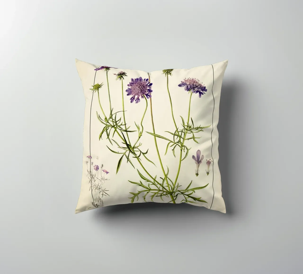 Stampa Scabiosa Columbaria - Fiore vintage a cuscino viola cuscino da ClubArt