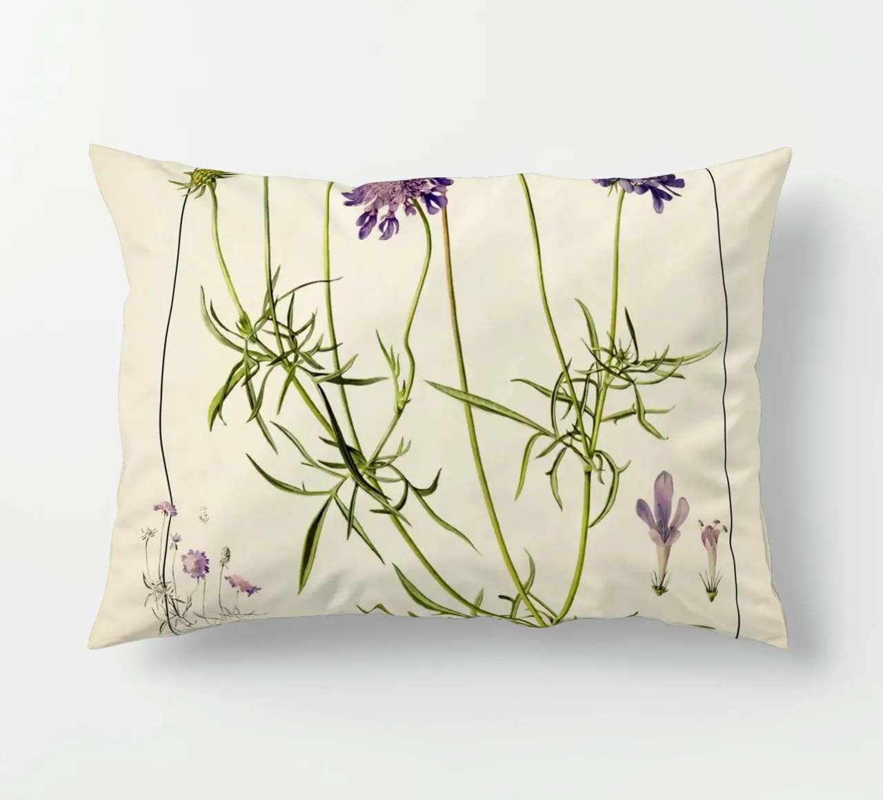 Stampa Scabiosa Columbaria - Fiore vintage a cuscino viola cuscino da ClubArt