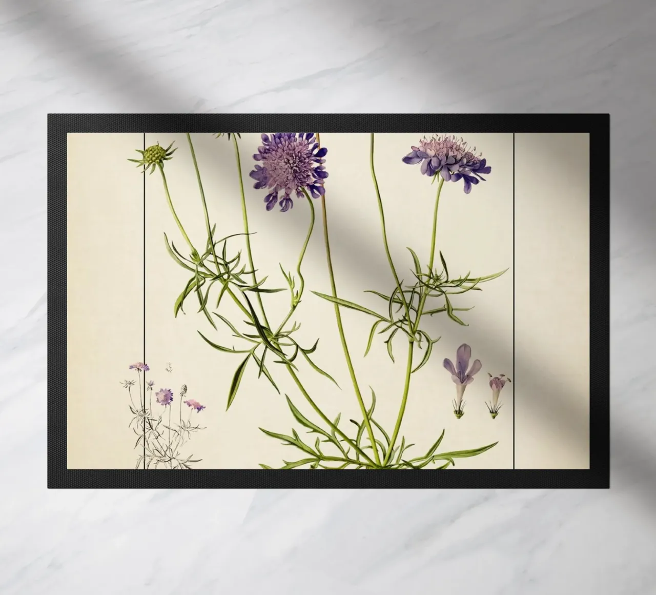 Stampa Scabiosa Columbaria - Fiore vintage a cuscino viola zerbino da ClubArt