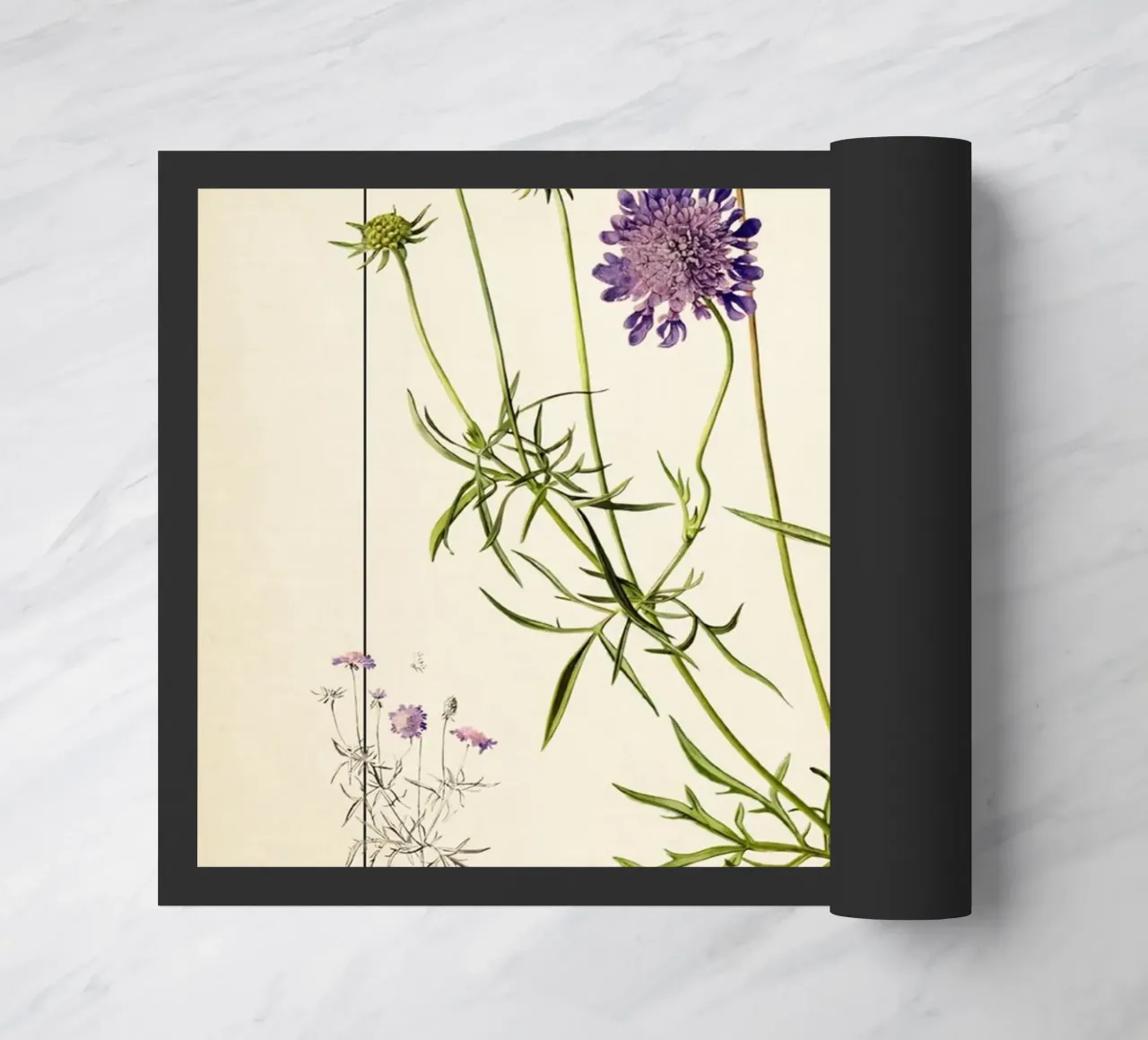 Stampa Scabiosa Columbaria - Fiore vintage a cuscino viola zerbino da ClubArt